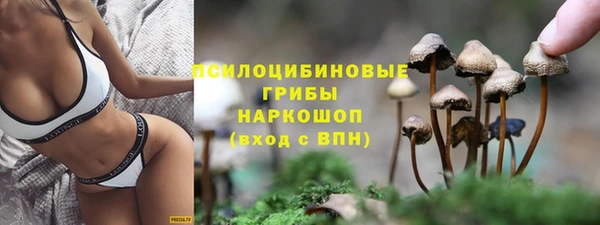 PSILOCYBIN Алексеевка