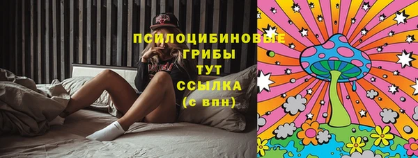 герыч Алзамай