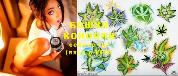 PSILOCYBIN Алексеевка