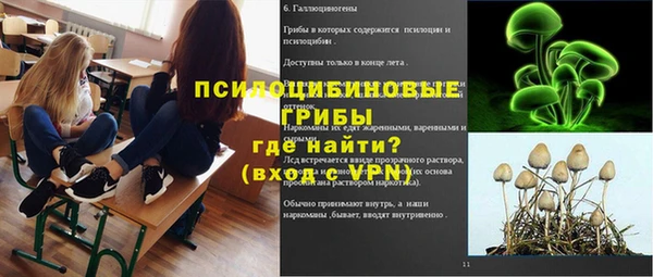 дмт Алексин