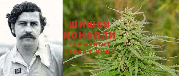 дмт Алексин