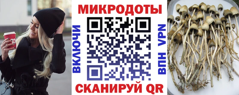 купить цена Лесосибирск Псилоцибиновые грибы мухоморы